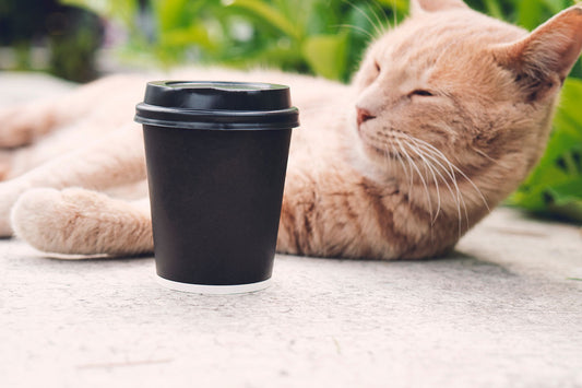 DIY Animal Coffee Mugs: A Guide to Creating Your Own Personalized Mug Collection