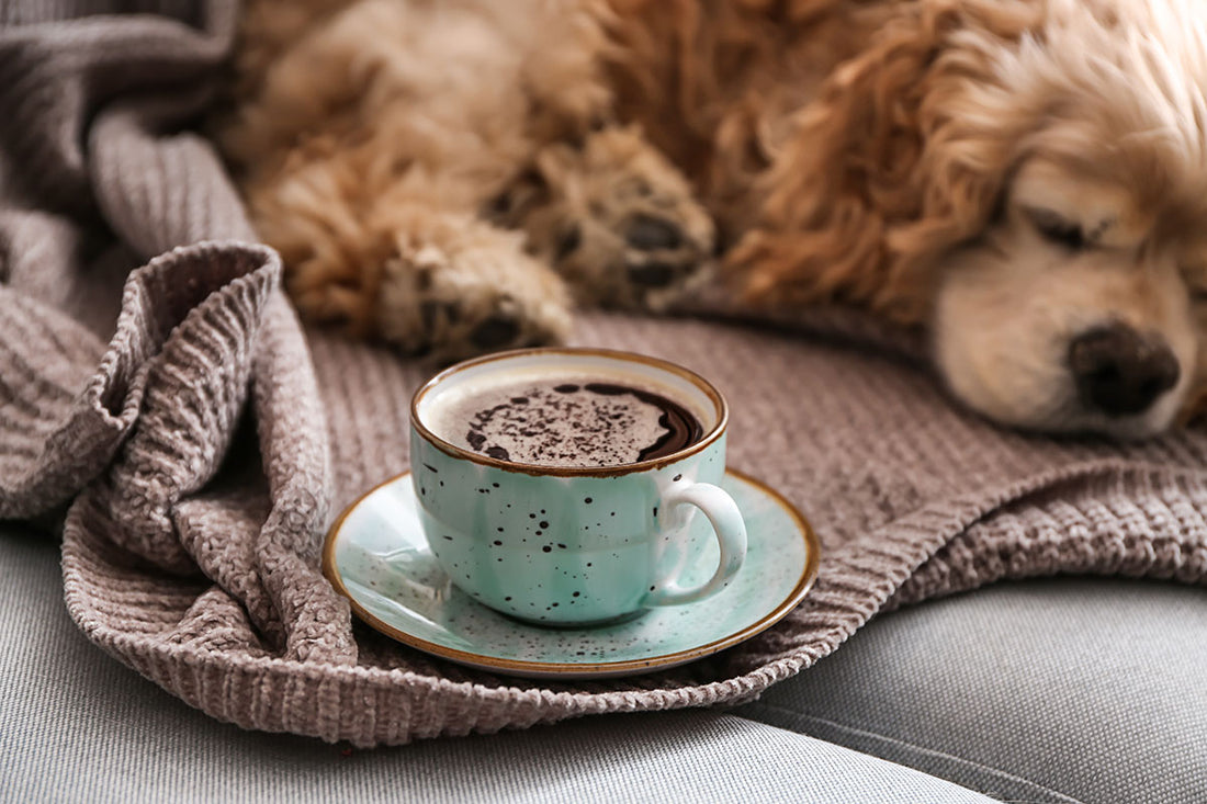 Animal Coffee Mugs: A Fun and Whimsical Addition to Your Home Décor