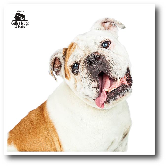 The Ultimate Guide to Bulldog Merchandise