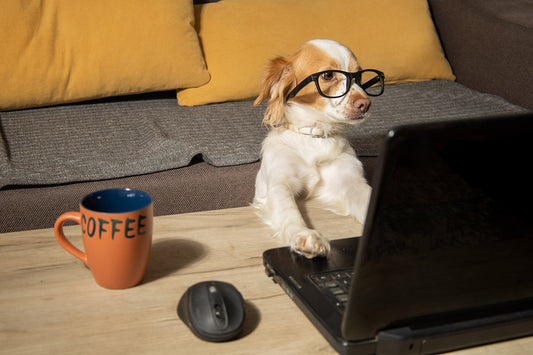 How to Choose the Best Animal Coffee Mug for Your Personality
