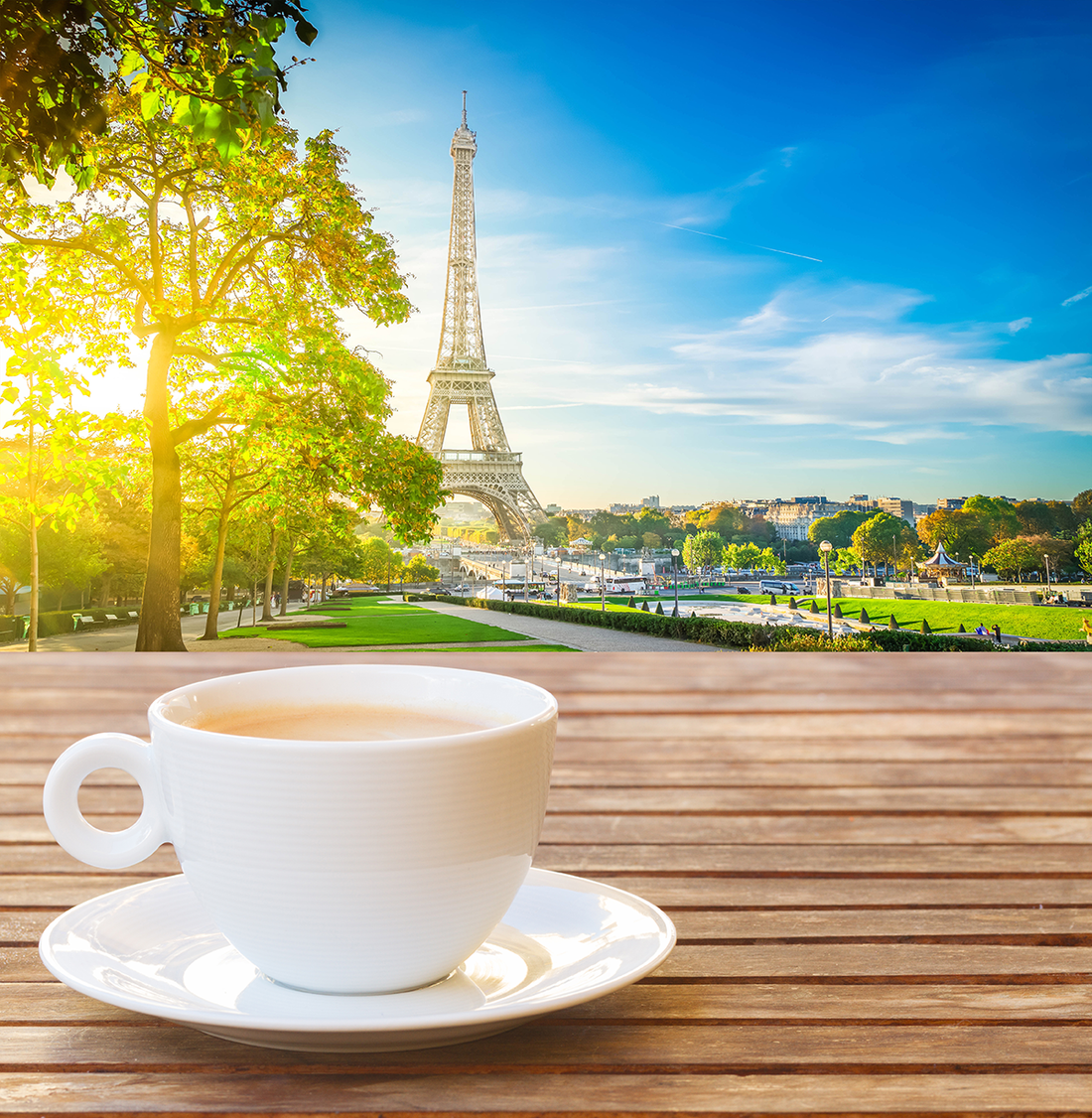 The History of Animal Coffee Mugs