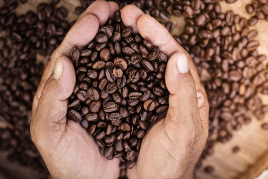 The Art of Coffee: Understanding the Roasting Process of Coffee Beans