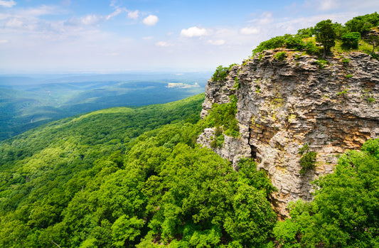 Discovering Arkansas: The Origins of "The Natural State"