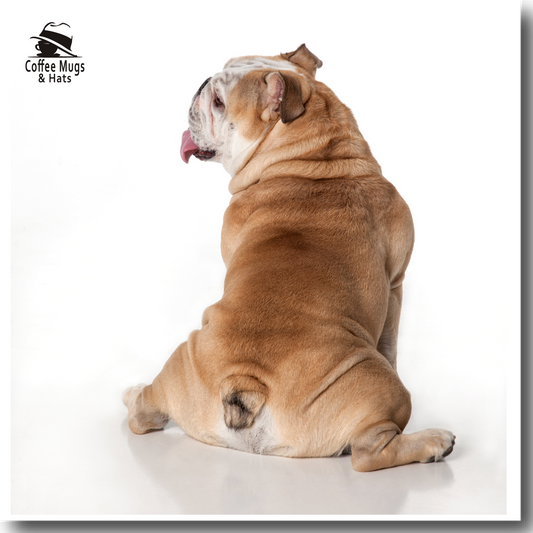 How to Choose the Perfect Bulldog Gift: A Buyer's Guide