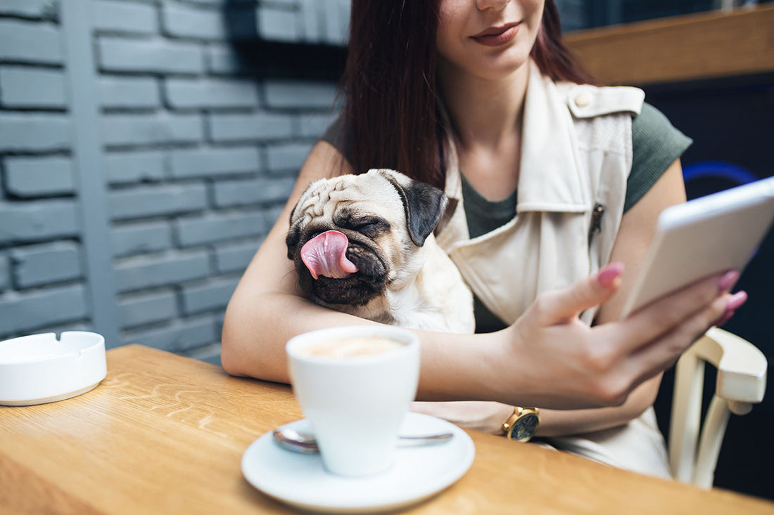 The Benefits of Drinking Your Morning Coffee from an Animal Coffee Mug